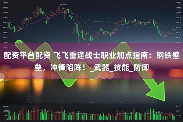 配资平台配资 飞飞重逢战士职业加点指南：钢铁壁垒，冲锋陷阵！_武器_技能_防御