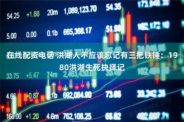 在线配资电话 洪湖人不应该忘记有三把铁锤：1980洪湖生死抉择记